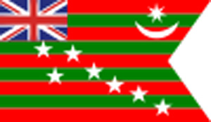 indian-flag-1917